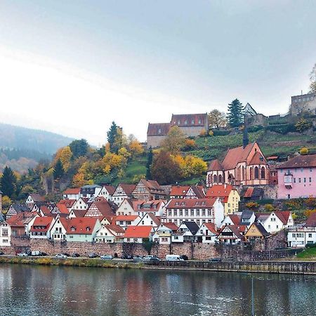 Neckarblick,Natur, Altstadt Hirschhorn Kültér fotó