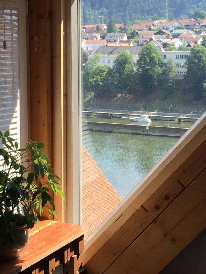 Neckarblick,Natur, Altstadt Hirschhorn Kültér fotó