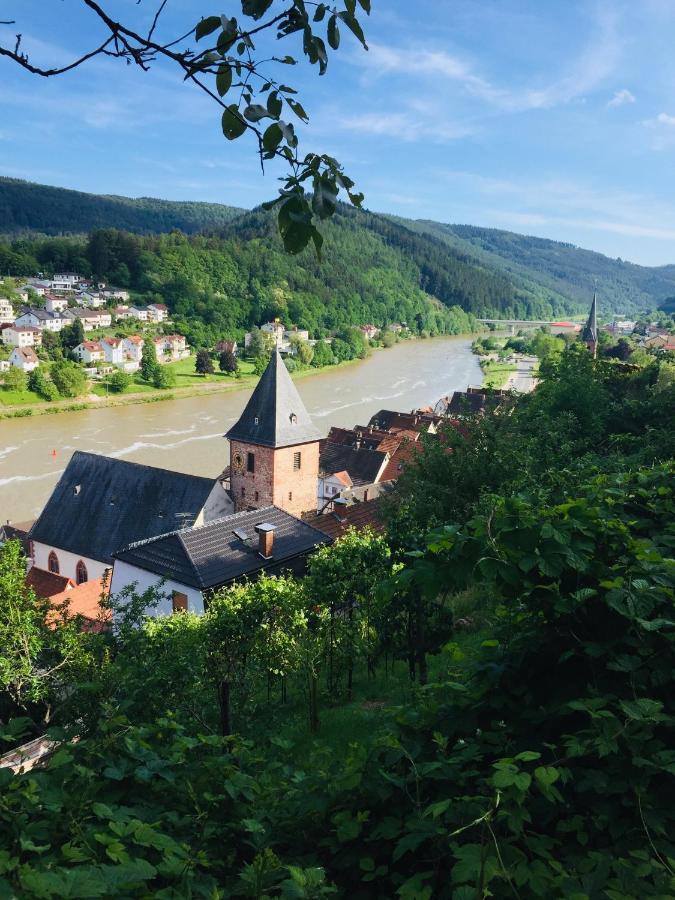Neckarblick,Natur, Altstadt Hirschhorn Kültér fotó