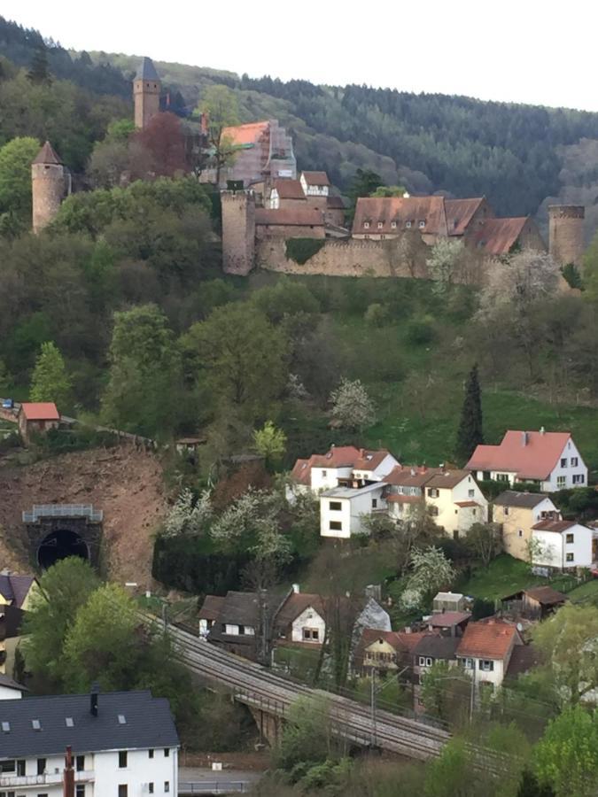 Neckarblick,Natur, Altstadt Hirschhorn Kültér fotó