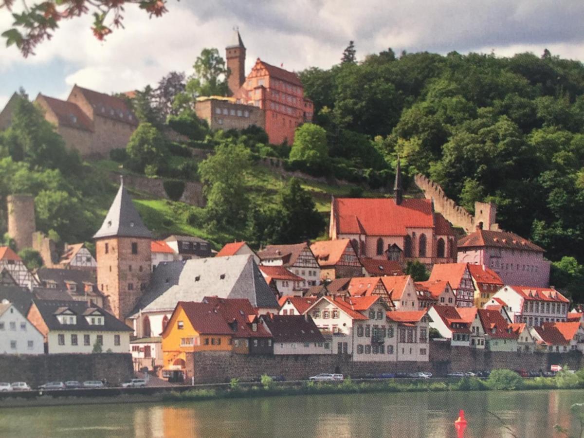 Neckarblick,Natur, Altstadt Hirschhorn Kültér fotó