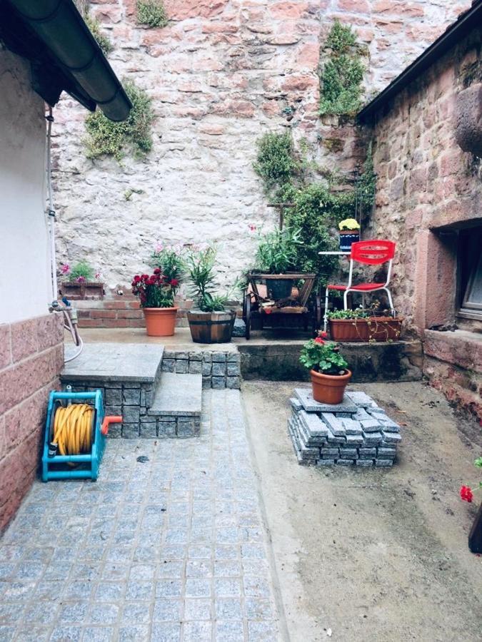 Neckarblick,Natur, Altstadt Hirschhorn Kültér fotó
