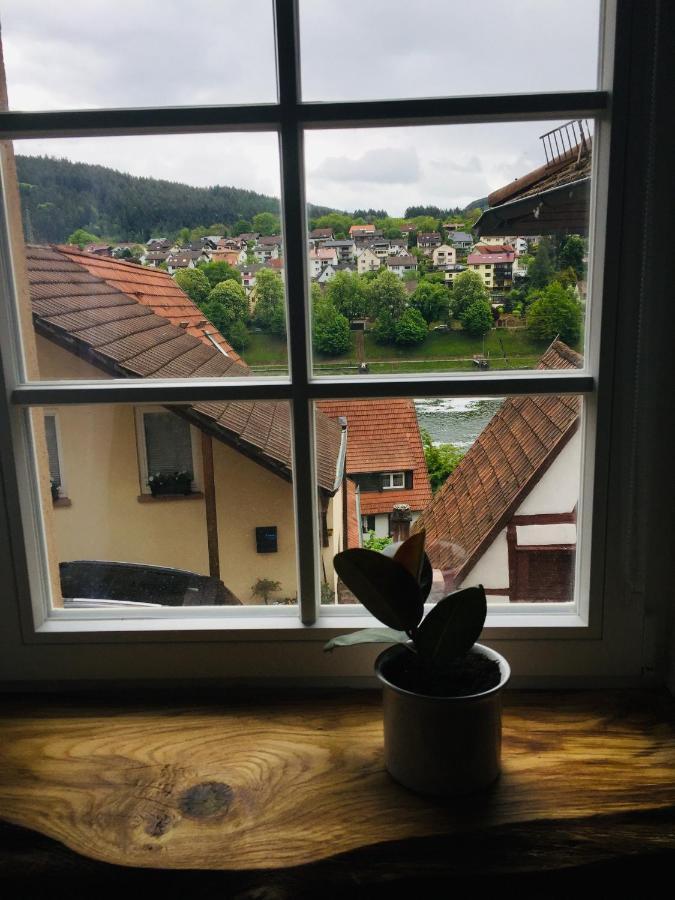Neckarblick,Natur, Altstadt Hirschhorn Kültér fotó