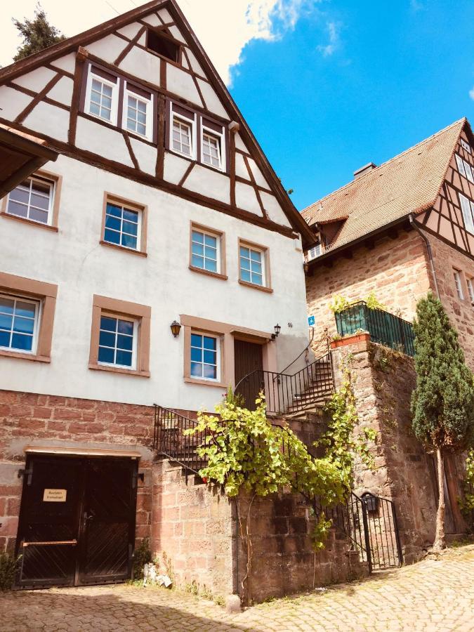 Neckarblick,Natur, Altstadt Hirschhorn Kültér fotó