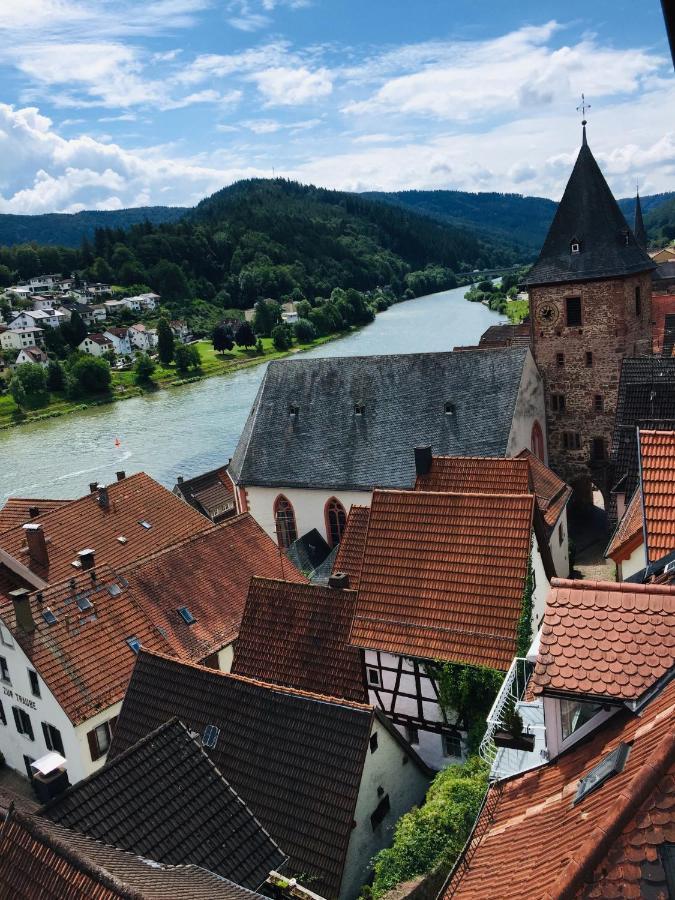 Neckarblick,Natur, Altstadt Hirschhorn Kültér fotó