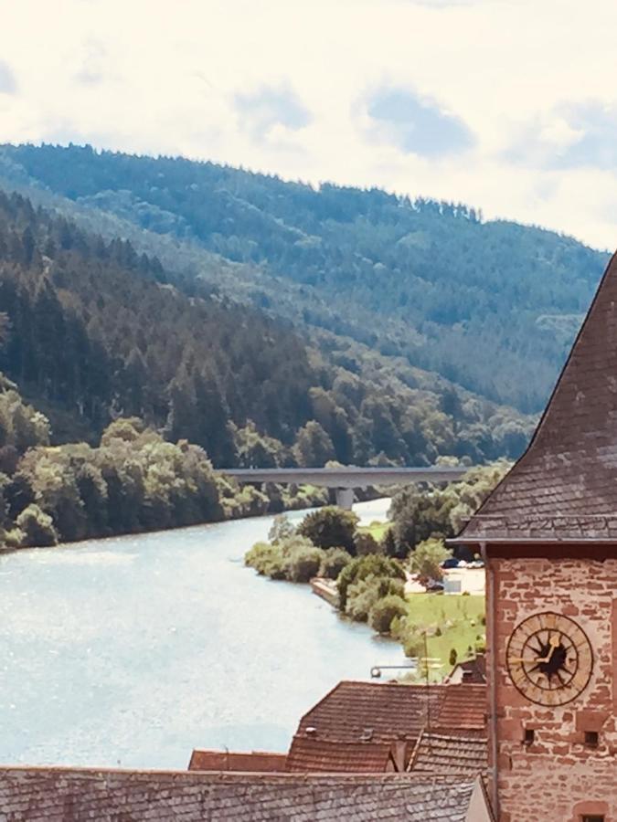 Neckarblick,Natur, Altstadt Hirschhorn Kültér fotó