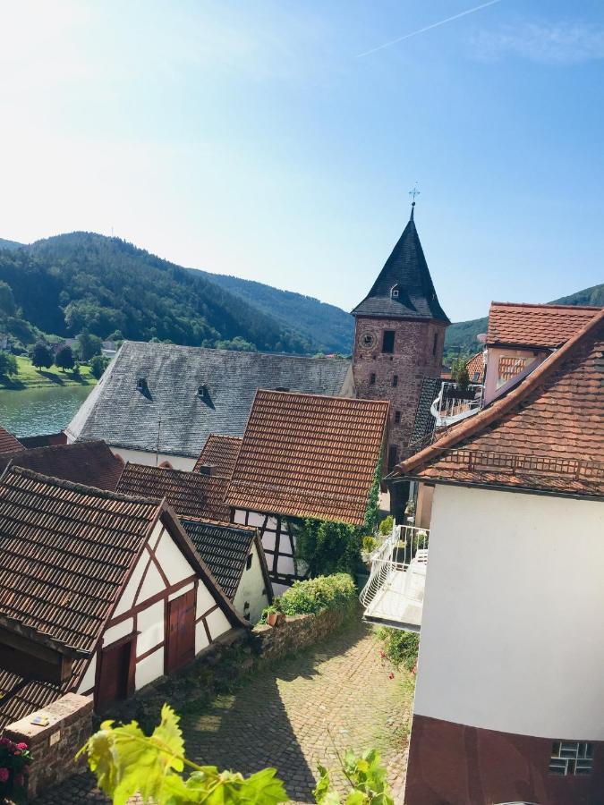 Neckarblick,Natur, Altstadt Hirschhorn Kültér fotó