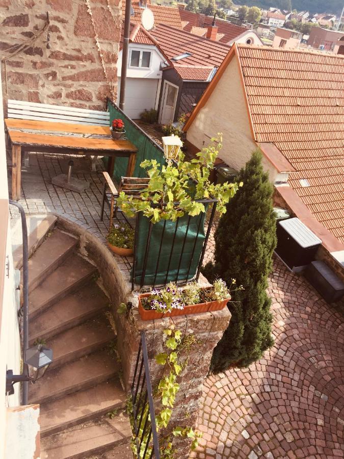 Neckarblick,Natur, Altstadt Hirschhorn Kültér fotó