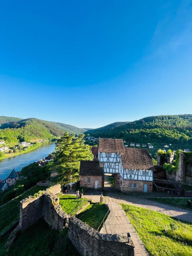Neckarblick,Natur, Altstadt Hirschhorn Kültér fotó