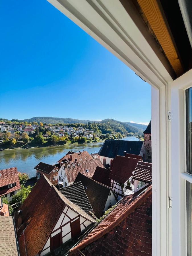 Neckarblick,Natur, Altstadt Hirschhorn Kültér fotó