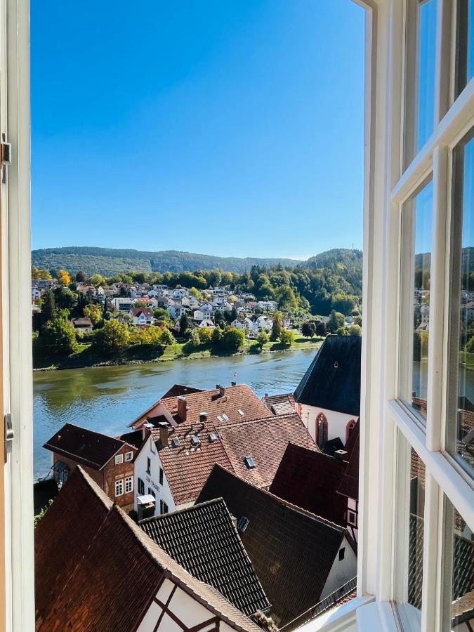 Neckarblick,Natur, Altstadt Hirschhorn Kültér fotó