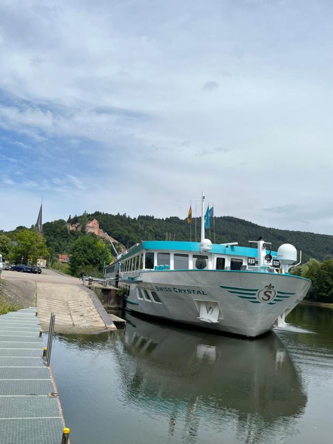 Neckarblick,Natur, Altstadt Hirschhorn Kültér fotó