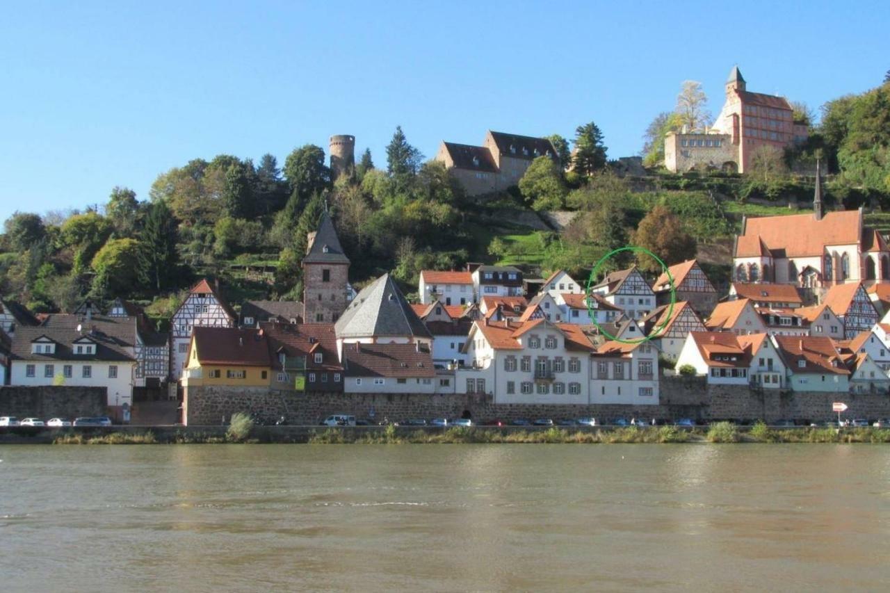 Neckarblick,Natur, Altstadt Hirschhorn Kültér fotó