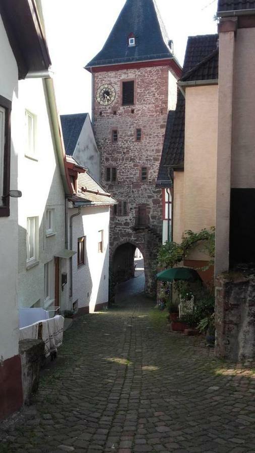 Neckarblick,Natur, Altstadt Hirschhorn Kültér fotó