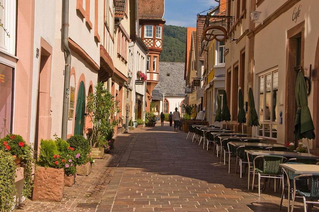 Neckarblick,Natur, Altstadt Hirschhorn Kültér fotó