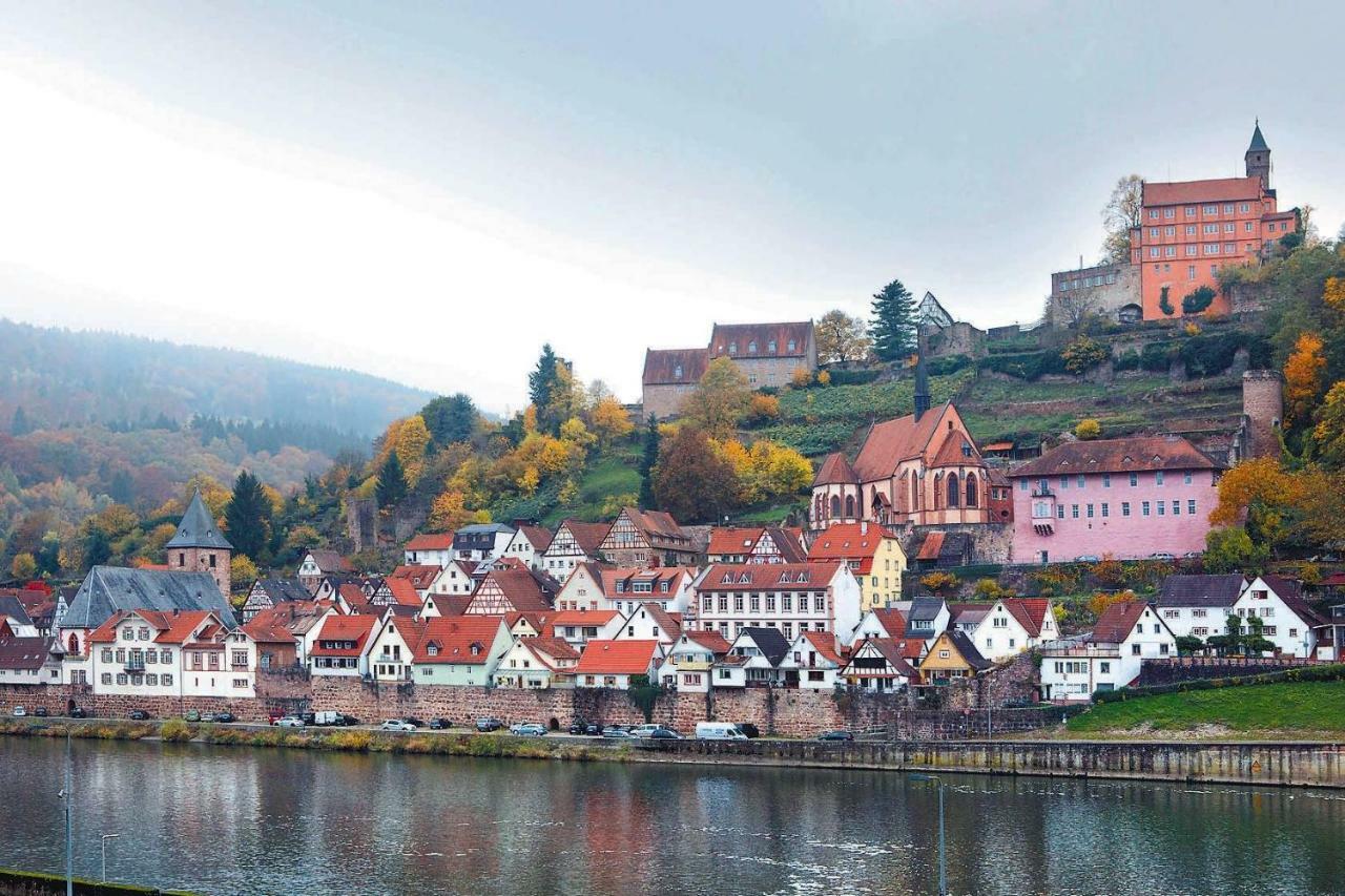 Neckarblick,Natur, Altstadt Hirschhorn Kültér fotó