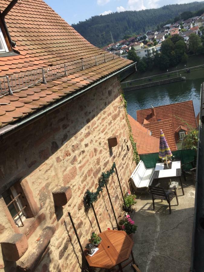 Neckarblick,Natur, Altstadt Hirschhorn Kültér fotó