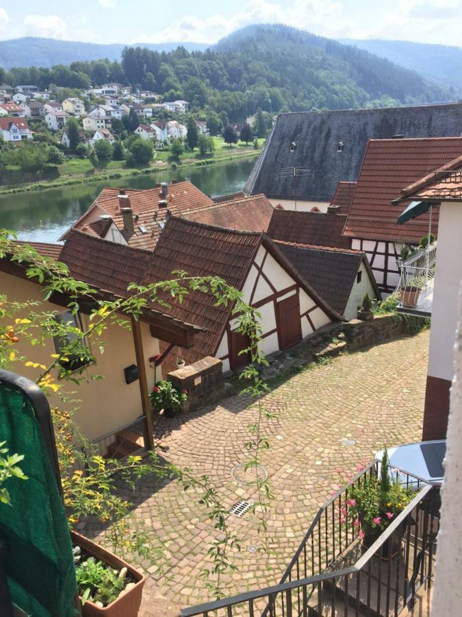 Neckarblick,Natur, Altstadt Hirschhorn Kültér fotó
