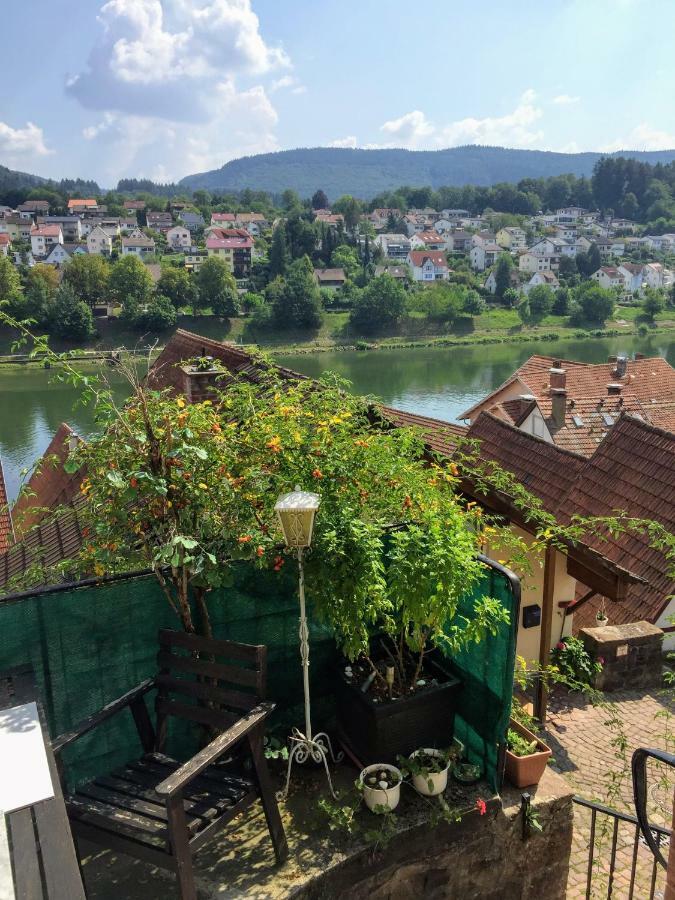 Neckarblick,Natur, Altstadt Hirschhorn Kültér fotó