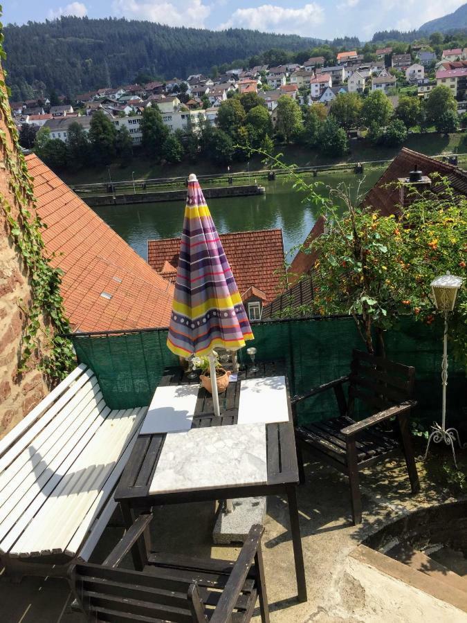 Neckarblick,Natur, Altstadt Hirschhorn Kültér fotó