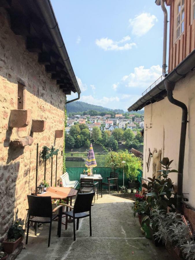 Neckarblick,Natur, Altstadt Hirschhorn Kültér fotó