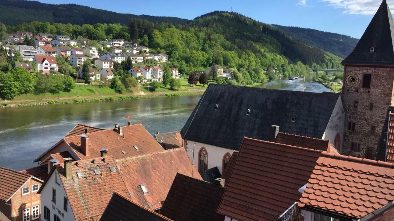 Neckarblick,Natur, Altstadt Hirschhorn Kültér fotó