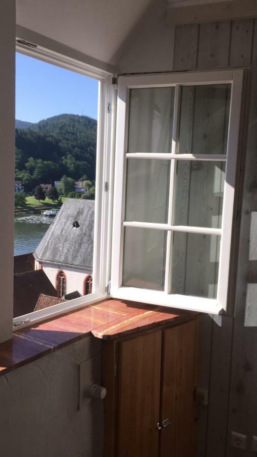 Neckarblick,Natur, Altstadt Hirschhorn Kültér fotó