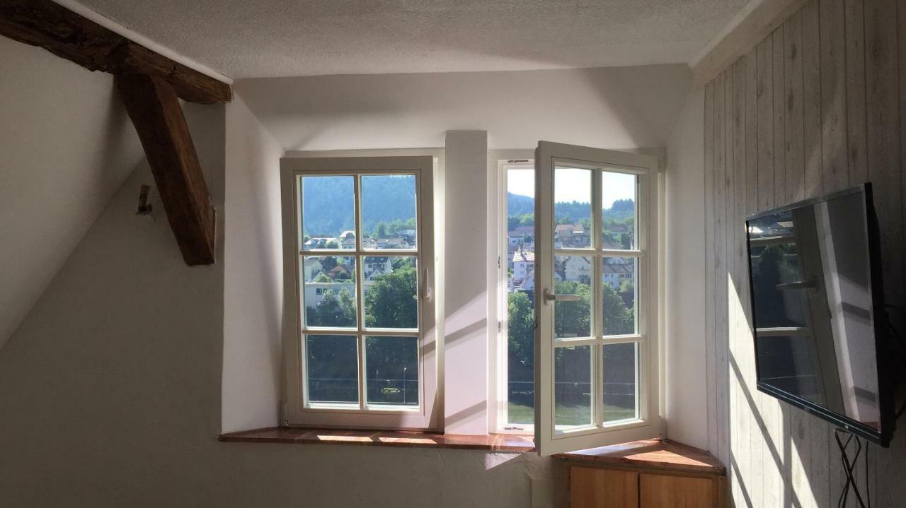 Neckarblick,Natur, Altstadt Hirschhorn Kültér fotó